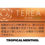 TEREA TROPICAL MENTHOL FOR IQOS ILUMA IN DUBAI