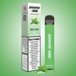 SMOOTH 3000 PUFFS DISPOSABLE VAPE IN UAE MINT GUM