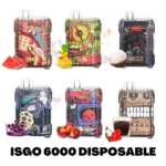 ISGO 6000 PUFFS DISPOSABLE VAPE IN UAE