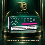 TEREA Black Green Indonesia carton with intense menthol, mellow tobacco and green fruit aroma in Dubai UAE