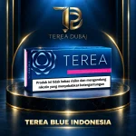 TEREA Blue Indonesia carton with deep menthol peppermint and creamy aroma in Dubai UAE