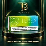 TEREA Bright Wave Indonesia carton with fresh green fruit and cooling menthol in Dubai UAE