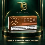 TEREA Bronze Indonesia carton with warm tobacco cocoa and dried fruit notes in Dubai UAE