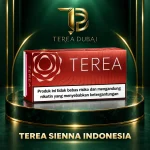 TEREA Sienna Indonesia carton with warm brown tobacco design, TEREA Dubai