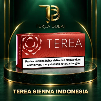 TEREA Sienna Indonesia carton with warm brown tobacco design, TEREA Dubai