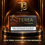TEREA Auburn Edition Indonesia carton with clove, apricot and vanilla flavour notes in Dubai UAE