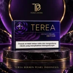 TEREA Bermin Pearl Indonesia carton with clove menthol and forest berry capsule in Dubai UAE