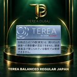 TEREA Balanced Regular Japan 10-pack carton for IQOS ILUMA with TEREA Dubai branding