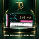 TEREA Emerald Edition Indonesia carton on a dark green and gold display, with TEREA Dubai branding