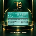 TEREA Mint Japan pack for IQOS ILUMA on TEREA Dubai green and gold display