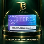 TEREA Purple Wave Indonesia carton with purple dark-fruit design, TEREA Dubai