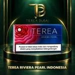 TEREA Riviera Pearl Indonesia carton with raspberry capsule design, TEREA Dubai