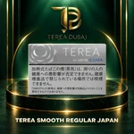 TEREA Smooth Regular Japan silver-grey tobacco sticks pack with TEREA Dubai logo