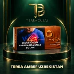 TEREA Amber Uzbekistan carton for IQOS ILUMA, shown with TEREA Dubai branding on a dark green and gold background