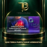TEREA Purple Wave Uzbekistan carton for IQOS ILUMA with TEREA Dubai branding and visible Uzbekistan warning panel