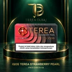 TEREA Strawberry Pearl Indonesia pack front supplied by TEREA Dubai in a branded frame