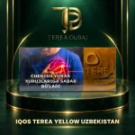 TEREA Yellow Uzbekistan 200-stick carton for IQOS ILUMA in a TEREA Dubai branded product image